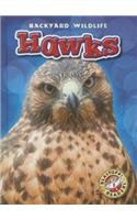 Hawks