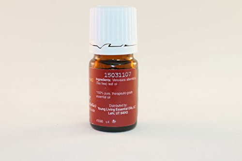 

Melaleuca Alternifolia Essential Oil - 5 Ml