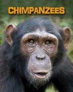 Chimpanzees by Heidi Moore