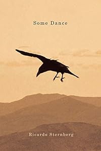 Some Dance (Volume 29) (The Hugh MacLennan Poetry Series) by Ricardo Sternberg