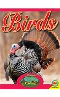 Birds (Outdoor Hunting Guide)