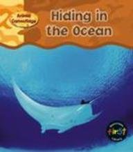 Hiding in the Ocean (Animal Camouflage)
