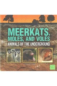 Meerkats, Moles, and Voles: Animals of the Underground by Jody Sullivan Rake