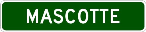 

MASCOTTE, FLORIDA Aluminum City Street Sign