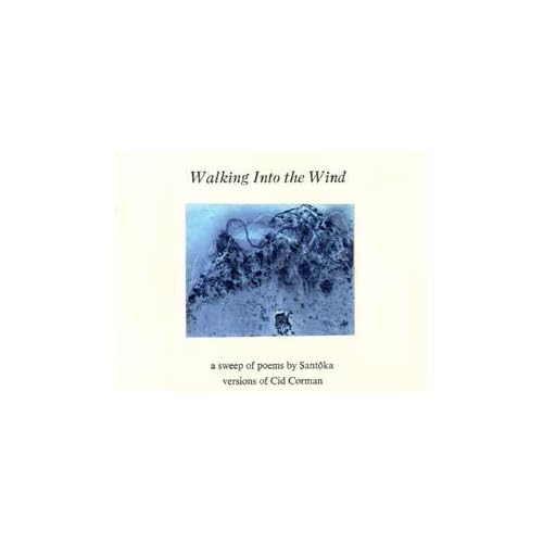 Walking into the Wind: A sweep of poems by Santoka.
