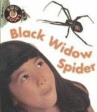 Black Widow Spider (Bug Books)