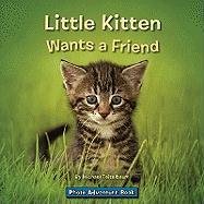 Little Kitten Wants a Friend by Michael Teitelbaum