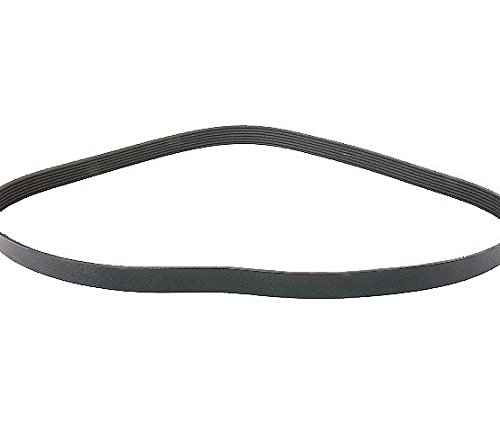 Algopix Similar Product 16 - Volkswagen 022 145 933 F Serpentine