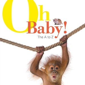 Oh Baby!: The A to Z by Various