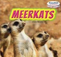 Meerkats