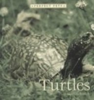 Turtles (Perfect Pets)