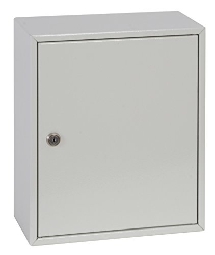 Algopix Similar Product 18 - Phoenix Keysure KC0301K 42 Hooks