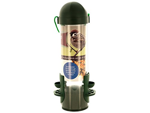 

Wild Bird Feeder - Panorama - Green