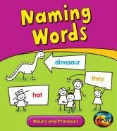 Naming Words: Nouns and Pronouns by Anita Ganeri
