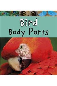 Bird Body Parts by Clare Lewis