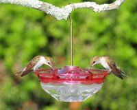 

Aspects HummBlossom - 4 oz Feeder - Rose Color