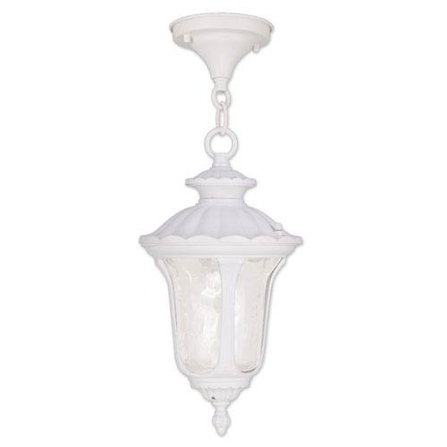 Algopix Similar Product 12 - Livex Oxford 7849 Outdoor Hanging