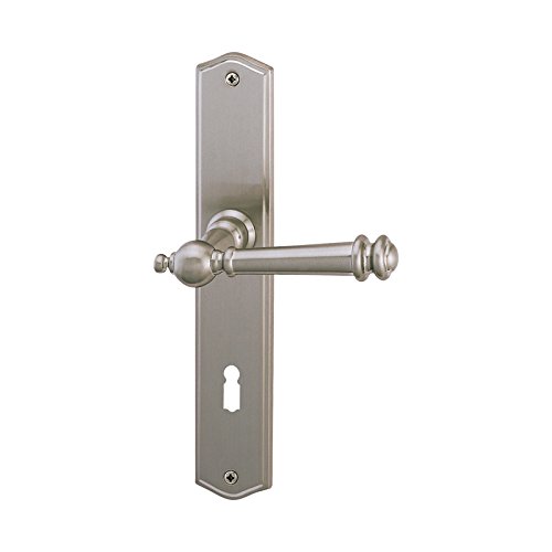 Algopix Similar Product 18 - Schssmetall Attila  Long Plate Door