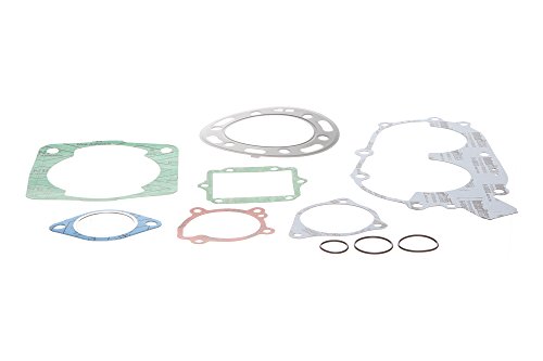 Algopix Similar Product 16 - Replacement Kits Brand Polaris 400 