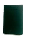 Twentieth-Century Essays and Addresses
