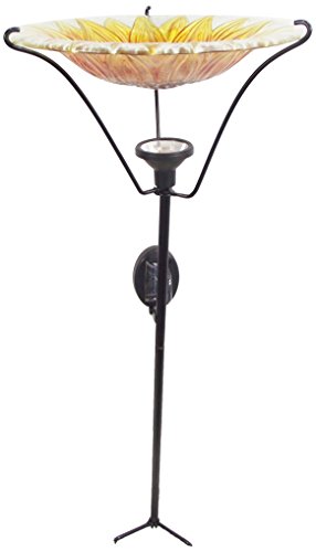 Algopix Similar Product 1 - Continental Art CAC2610410B 11 Solar