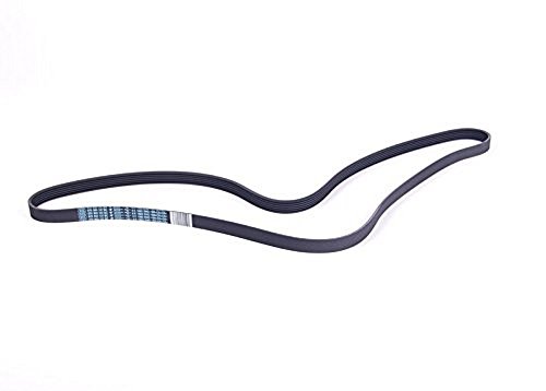 Algopix Similar Product 11 - Volkswagen 078 903 137 BC Serpentine