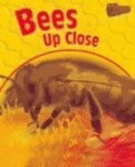 Bees Up Close (Minibeasts Up-Close) by Robin Birch