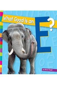 What Good Is an E? by Marie Powell