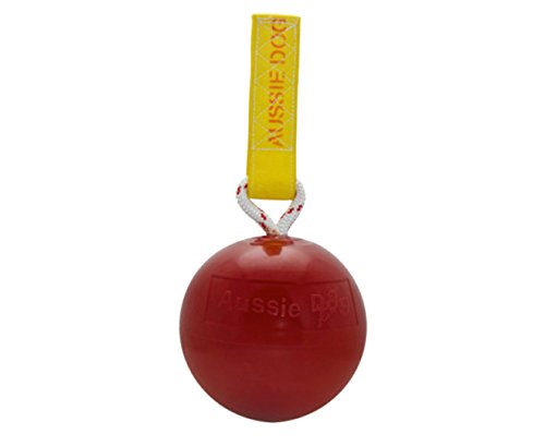 Algopix Similar Product 5 - Aussie Dog Products Roady Ball