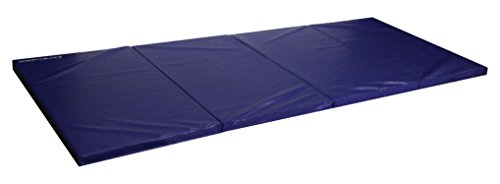 Algopix Similar Product 14 - Seismic Sports  SSM482RB  Blue
