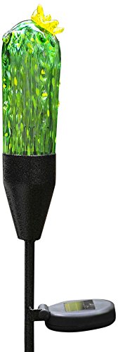 Algopix Similar Product 1 - Coloriscape Firefly Solar Cactus