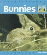 Bunnies (SandCastle: Baby Animals) by Kelly Doudna