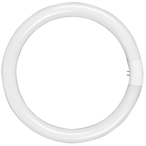 Algopix Similar Product 6 - Walimex 40W Replacement Lamp for Ring