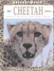 Cheetah (Natural World (Hardcover Raintree))