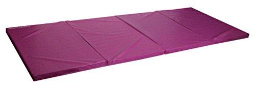 Algopix Similar Product 10 - Seismic Sports SSM482Purple  Purple