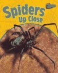 Spiders Up Close (Minibeasts Up-Close)