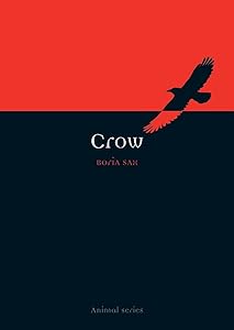 Crow (Animal)