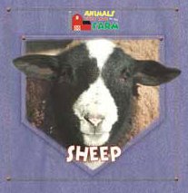 Sheep (Animals That Live on the Farm) by JoAnn Early Macken