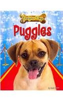 Puggles (Designer Dogs)