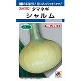 たまねぎ 種 【 シャルム 】 種子 小袋（約6ml）