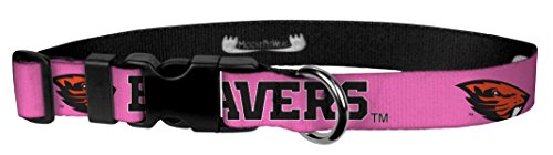 Algopix Similar Product 14 - Moose Pet Wear Dog Collar  Oregon