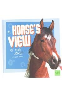 A Horse's View of the World