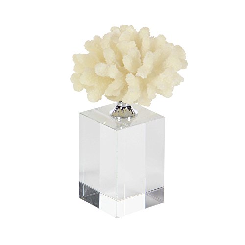 Algopix Similar Product 6 - Benzara Seashore Finishedecoral