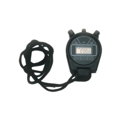 

DSS Timers