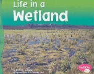 Life in a Wetland (Pebble Plus: Living in a Biome) by Gail Saunders-Smith