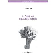 Le soleil est au bord du ravin - Danièle Maoudj - Babelio