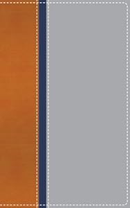 NIV Teen Study Bible Compact Orange/Navy/Gray Limited Edition- CBA