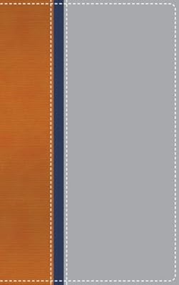 NIV Teen Study Bible Compact Orange/Navy/Gray Limited Edition- CBA