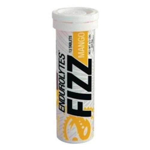 Hammer Nutrition Endurolytes Fizz Electrolyte Tablets - 1 Tube (Mango)