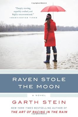 Raven Stole the Moon: A Novel